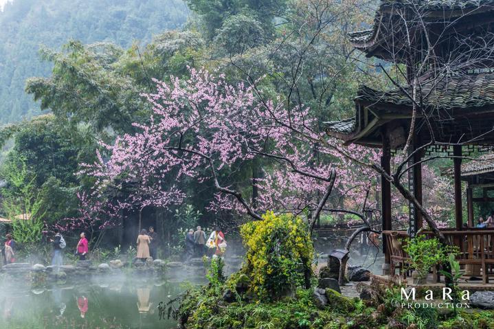 20年共同的记忆:你我齐参与 让“五百里滇池”画卷早日重现