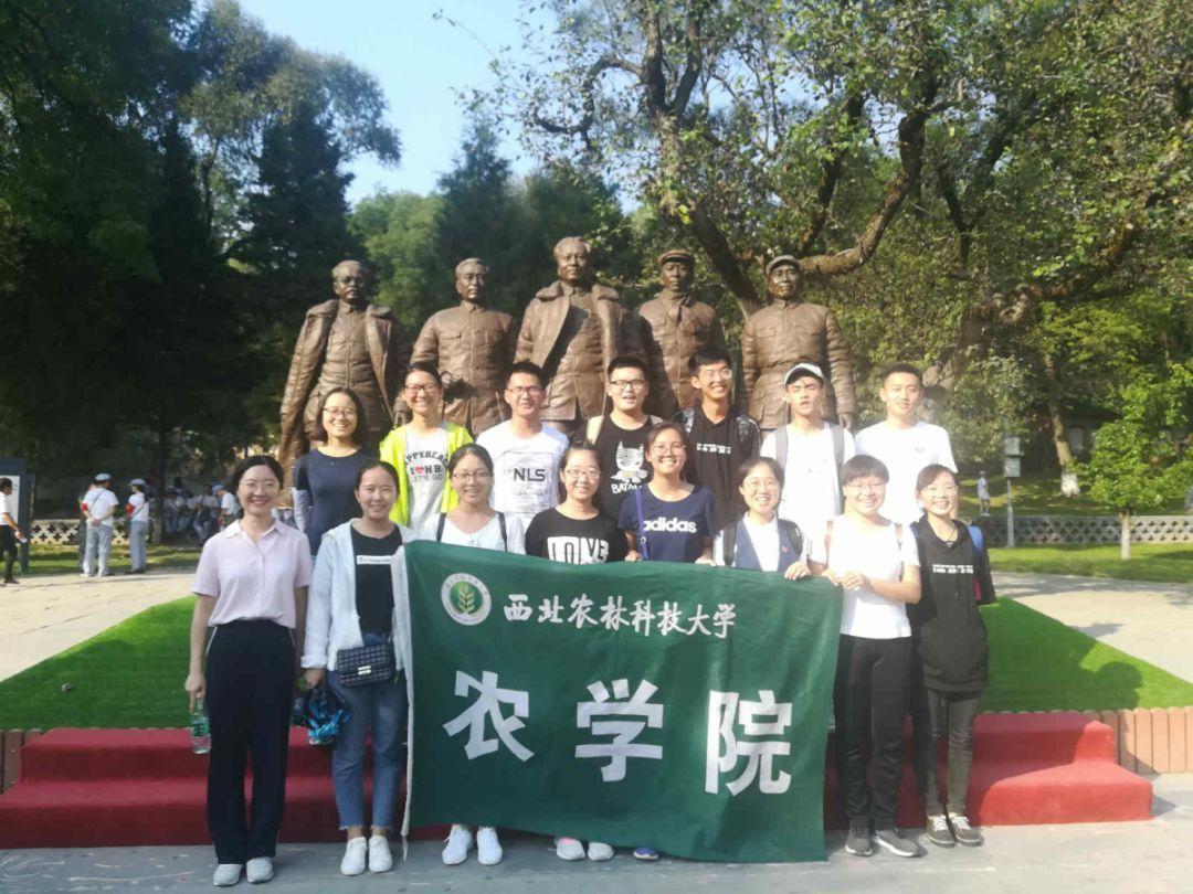 凡人微光 | 马骏:坐在轮椅上的追梦者